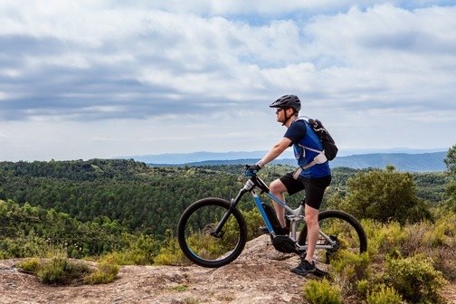 adobestock adobestock - adobestock_224766441.jpg